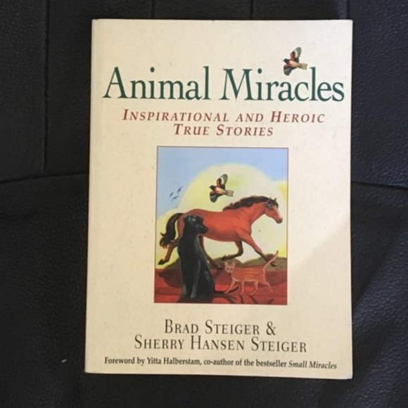 Miracles Books - Picture 4 of 8